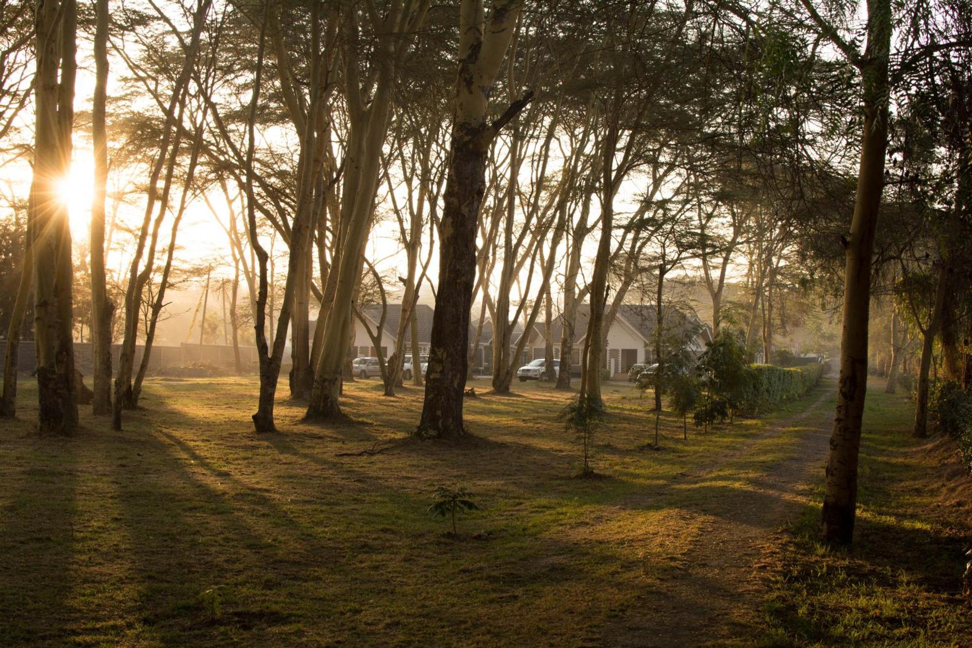 Burch'S Resort Naivasha Camping Bagian luar foto